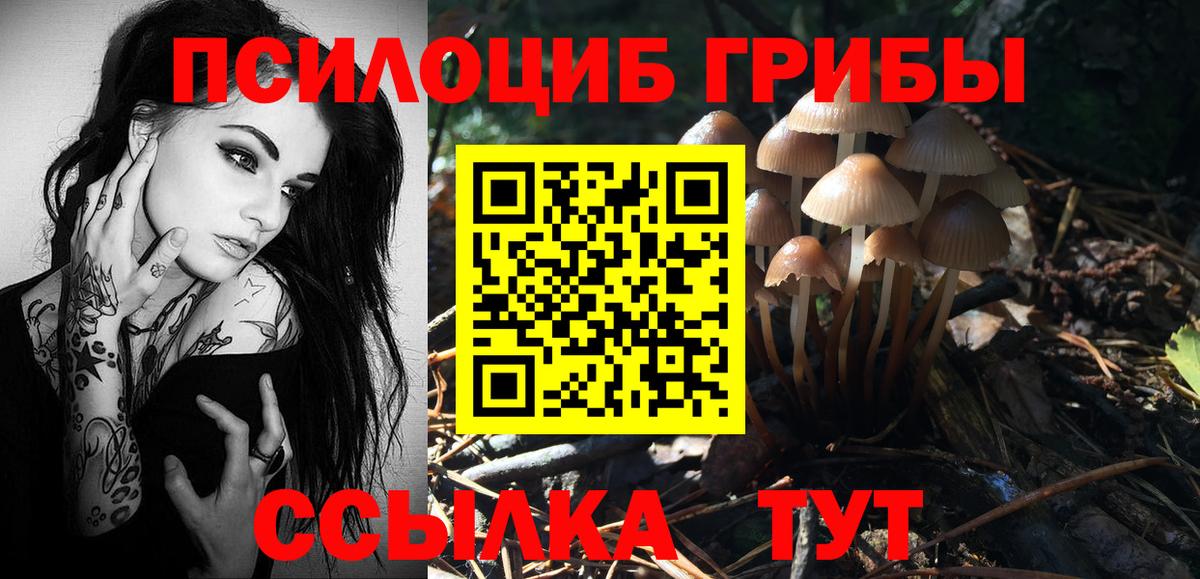 Галлюциногенные грибы мухоморы  Галлюциногенные грибы Psilocybine cubensis  Орехово-Зуево  Вход с VPN 