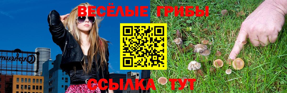 Галлюциногенные грибы прущие грибы Орехово-Зуево